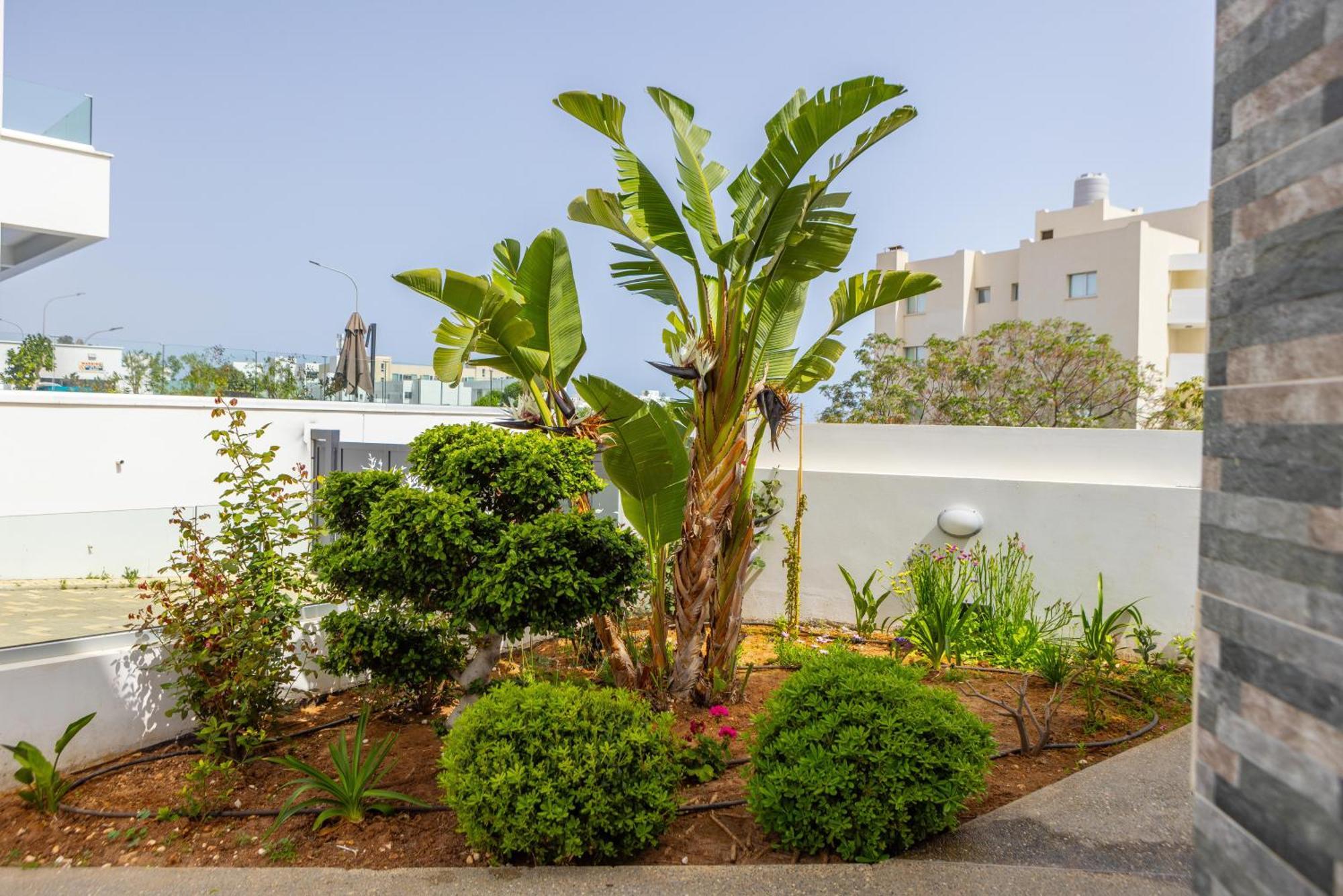 Fig Tree Bay Residences 5 Protarász Kültér fotó